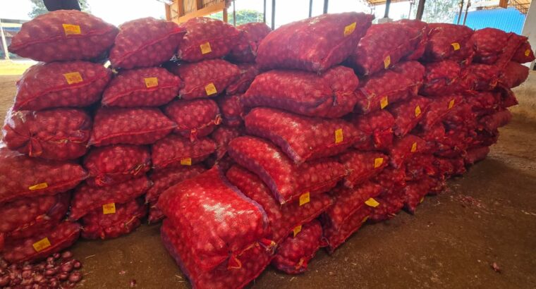 RAVI & COMPANY HUBLI