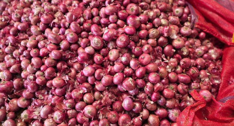 RAVI & COMPANY HUBLI