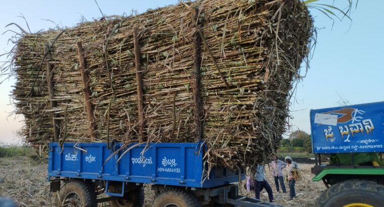 G.K. AGRO INDUSTRIES HUBLI