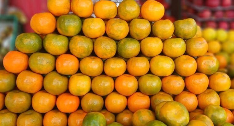 EESHAN FRUITS CHIKMAGALUR