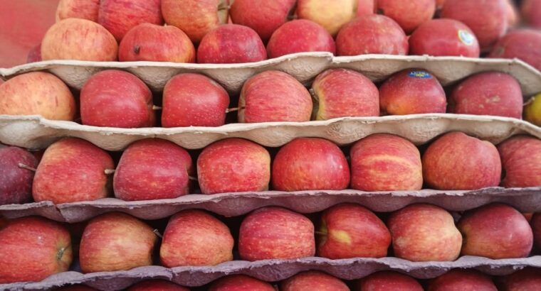 EESHAN FRUITS CHIKMAGALUR