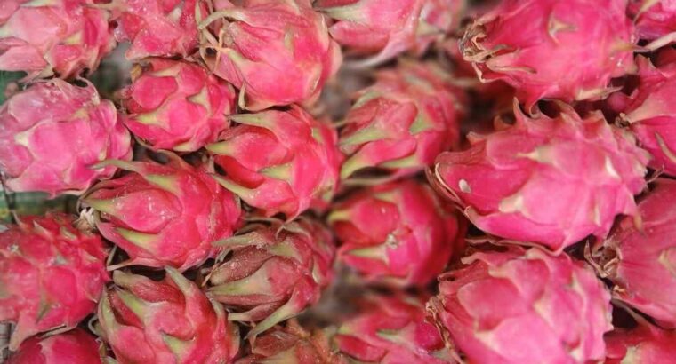 EESHAN FRUITS CHIKMAGALUR