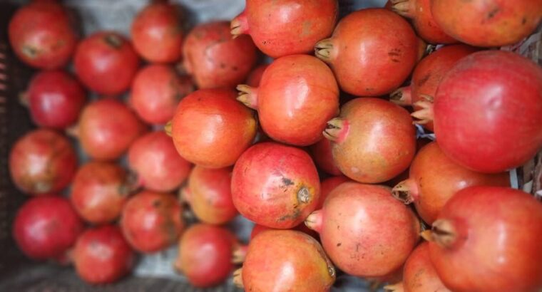 EESHAN FRUITS CHIKMAGALUR