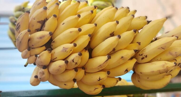 EESHAN FRUITS CHIKMAGALUR