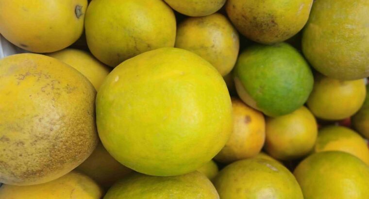 EESHAN FRUITS CHIKMAGALUR