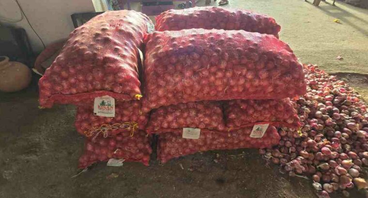 SHRI RENUKA TRADERS RANEBENNUR
