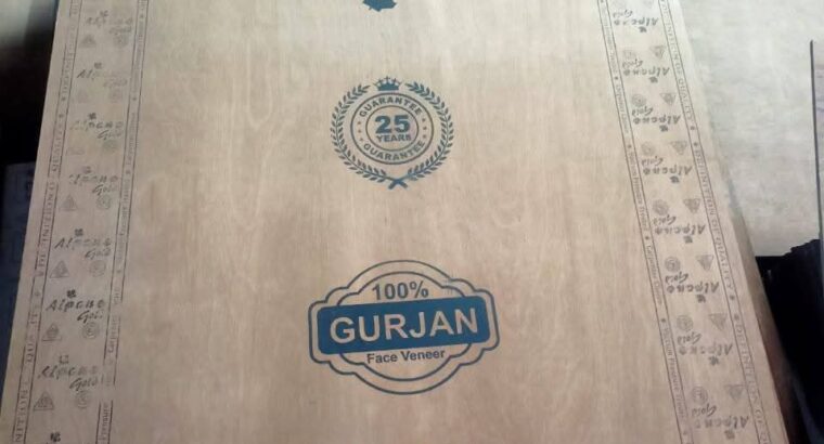 BHUTE GLASS & PLYWOOD (TIRUPATI ENTERPRISES SISTER CONCERN