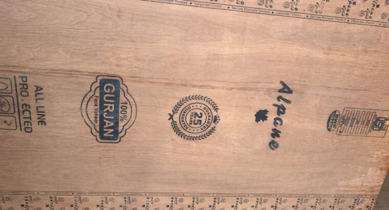 BHUTE GLASS & PLYWOOD (TIRUPATI ENTERPRISES SISTER CONCERN