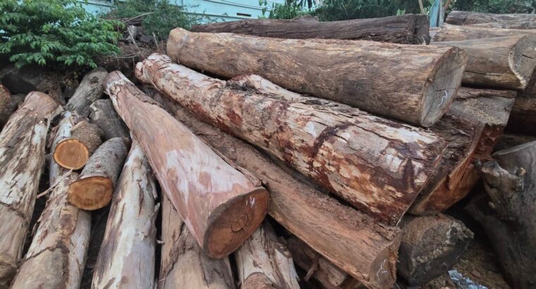 SRI VENKATESHWARA SAW MILL & WOOD INDUSTRIES CHANN