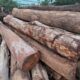SRI VENKATESHWARA SAW MILL & WOOD INDUSTRIES CHANN