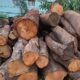 SRI VENKATESHWARA SAW MILL & WOOD INDUSTRIES CHANN