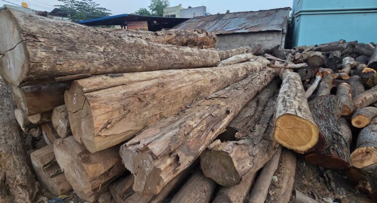 SRI VENKATESHWARA SAW MILL & WOOD INDUSTRIES CHANN