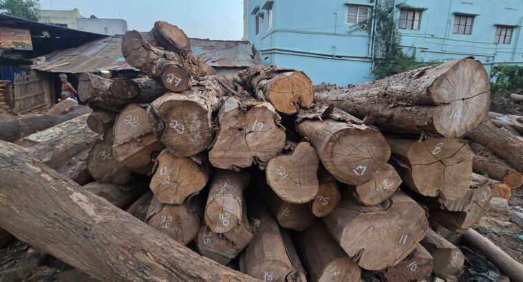SRI VENKATESHWARA SAW MILL & WOOD INDUSTRIES CHANN