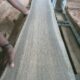 HALAPPA SAW MILL & WOOD INDUSTRIES BHADRAVATI