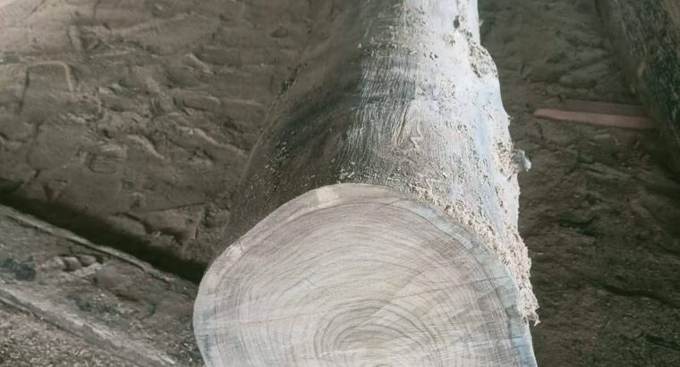 HALAPPA SAW MILL & WOOD INDUSTRIES BHADRAVATI