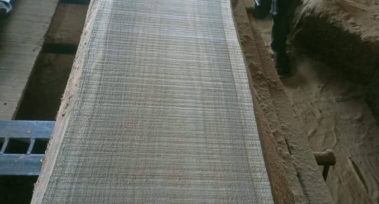 HALAPPA SAW MILL & WOOD INDUSTRIES BHADRAVATI