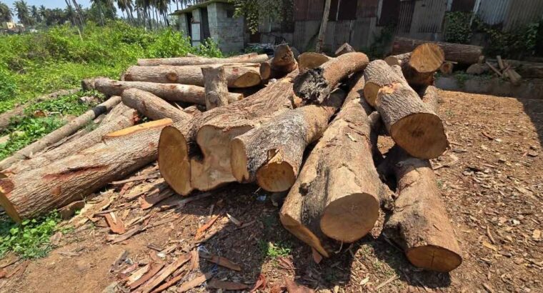 HALAPPA SAW MILL & WOOD INDUSTRIES BHADRAVATI