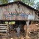 V.N. MYSORE SAW MILL & WOOD INDUSTRIES BHADRAVATHI