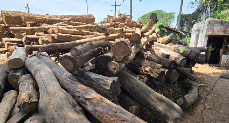 V.N. MYSORE SAW MILL & WOOD INDUSTRIES BHADRAVATHI