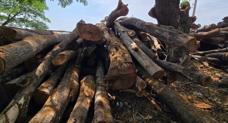 V.N. MYSORE SAW MILL & WOOD INDUSTRIES BHADRAVATHI