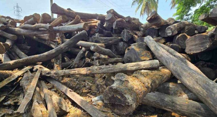 V.N. MYSORE SAW MILL & WOOD INDUSTRIES BHADRAVATHI