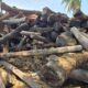 V.N. MYSORE SAW MILL & WOOD INDUSTRIES BHADRAVATHI