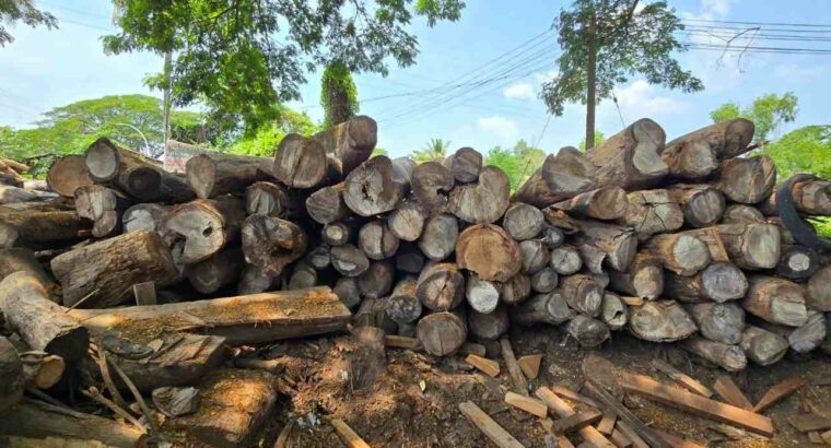 V.N. MYSORE SAW MILL & WOOD INDUSTRIES BHADRAVATHI
