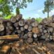 V.N. MYSORE SAW MILL & WOOD INDUSTRIES BHADRAVATHI