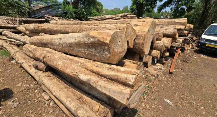 V.N. MYSORE SAW MILL & WOOD INDUSTRIES BHADRAVATHI