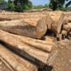 V.N. MYSORE SAW MILL & WOOD INDUSTRIES BHADRAVATHI