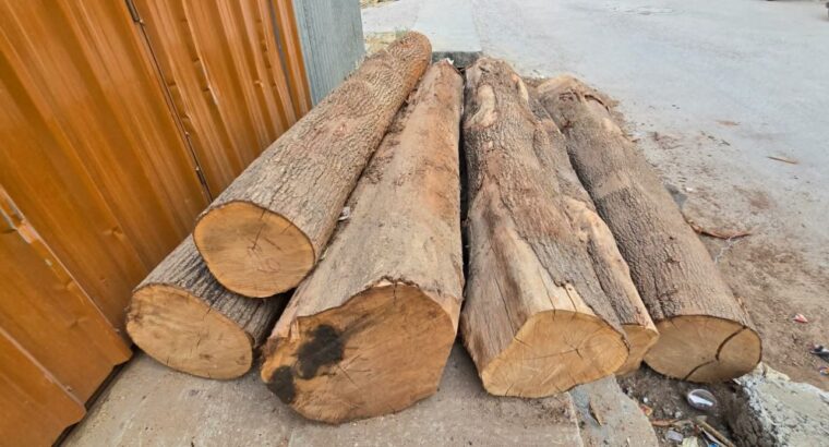 M/s. POOJA SAW MILL & TIMBER MERCHANTS RAICHUR