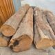 M/s. POOJA SAW MILL & TIMBER MERCHANTS RAICHUR