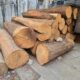 M/s. POOJA SAW MILL & TIMBER MERCHANTS RAICHUR