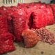 SHRI SANGAMESHWAR ONION TRADERS