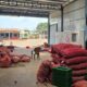 SHRI SANGAMESHWAR ONION TRADERS