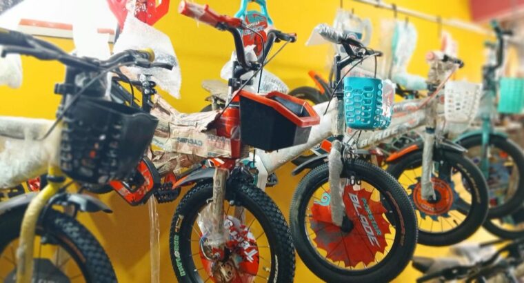 REVATHI CYCLE STORES CHIKMAGALUR