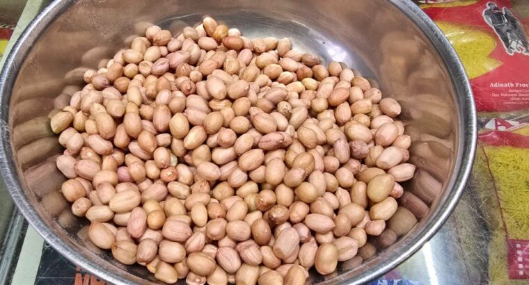 ADINATH TRADING COMPANY GADAG