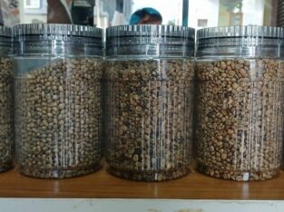 DHANI COFFEE