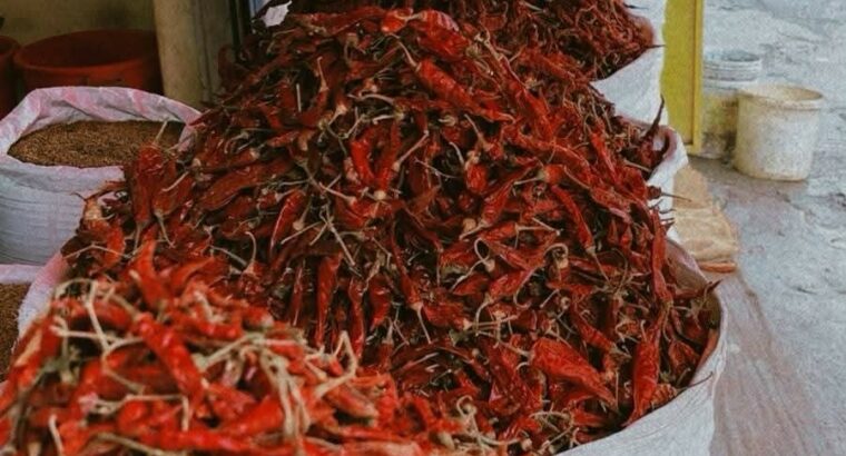 WELCOME CHILLI STORES CHIKMAGALUR
