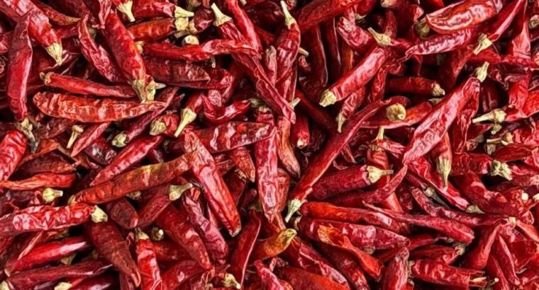 WELCOME CHILLI STORES CHIKMAGALUR