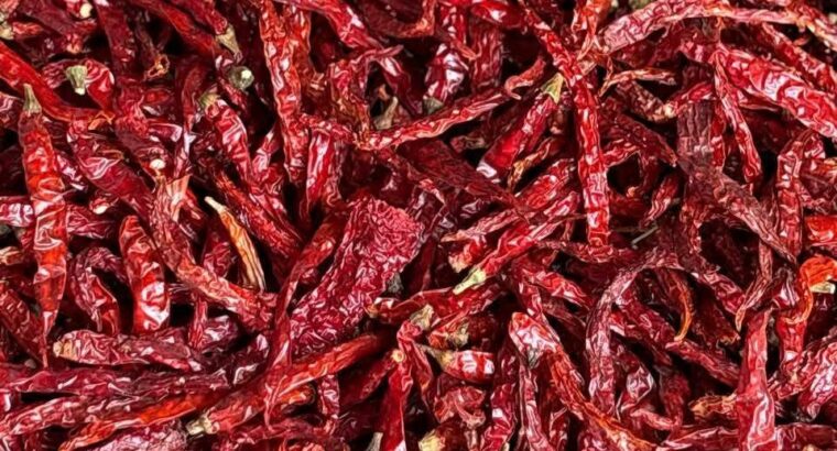WELCOME CHILLI STORES CHIKMAGALUR