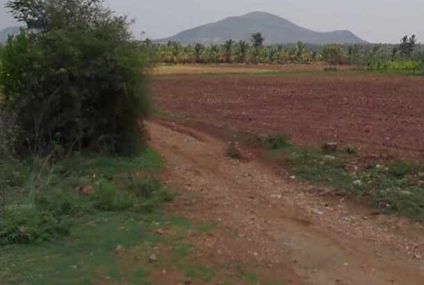 DREAM LAND GROUP CHIKMAGALUR