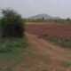 DREAM LAND GROUP CHIKMAGALUR