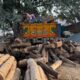 ALNAVAR TIMBERS ALNAVAR