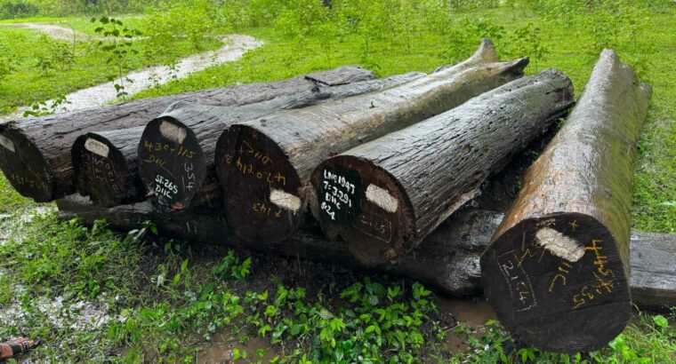 ALNAVAR TIMBERS ALNAVAR