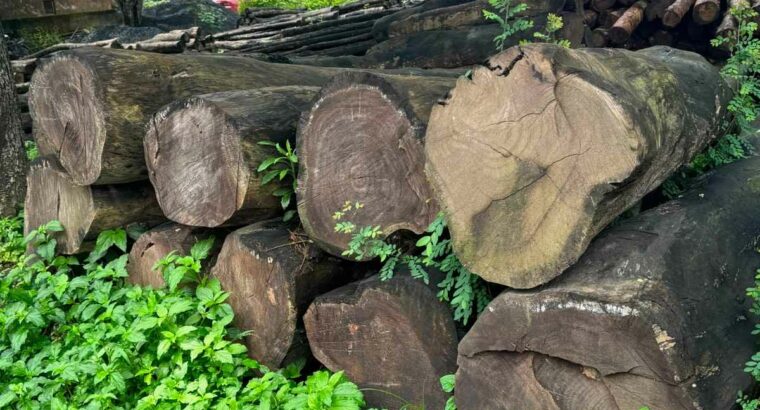 ALNAVAR TIMBERS ALNAVAR