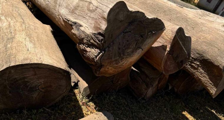 ALNAVAR TIMBERS ALNAVAR