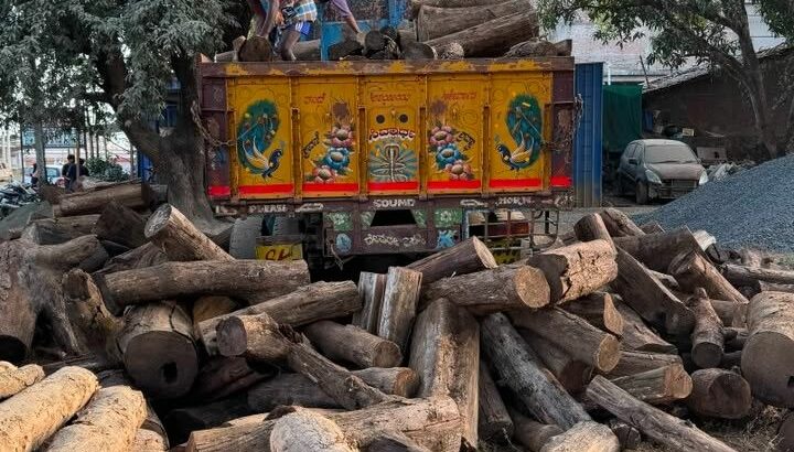 ALNAVAR TIMBERS ALNAVAR