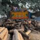 ALNAVAR TIMBERS ALNAVAR
