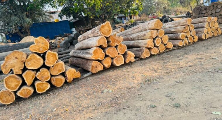 ALNAVAR TIMBERS ALNAVAR